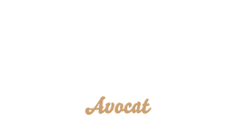 Logo du cabinet de Maître Max ARNAUD, avocat en droit immobilier et patrimoine